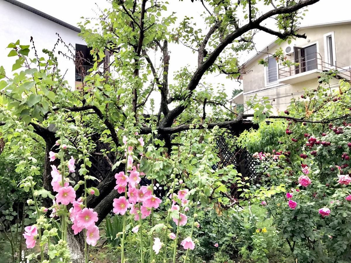 Akvitaniya Mini-Hotel Zatoka Bagian luar foto