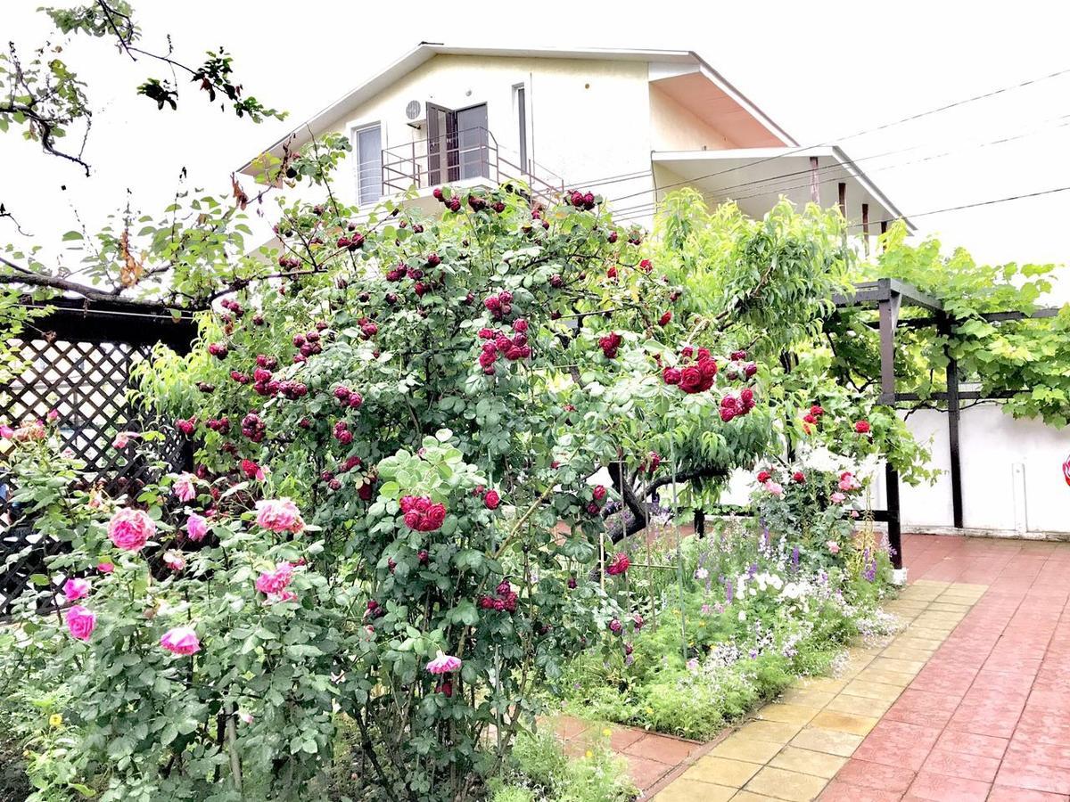 Akvitaniya Mini-Hotel Zatoka Bagian luar foto